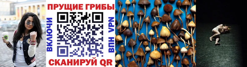 Псилоцибиновые грибы MAGIC MUSHROOMS  хочу   Воткинск 